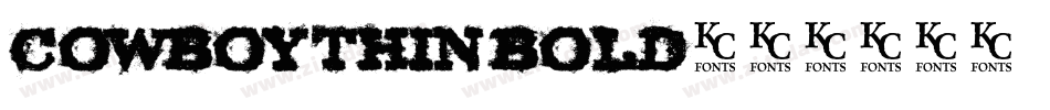 Cowboy Thin Bold字体转换